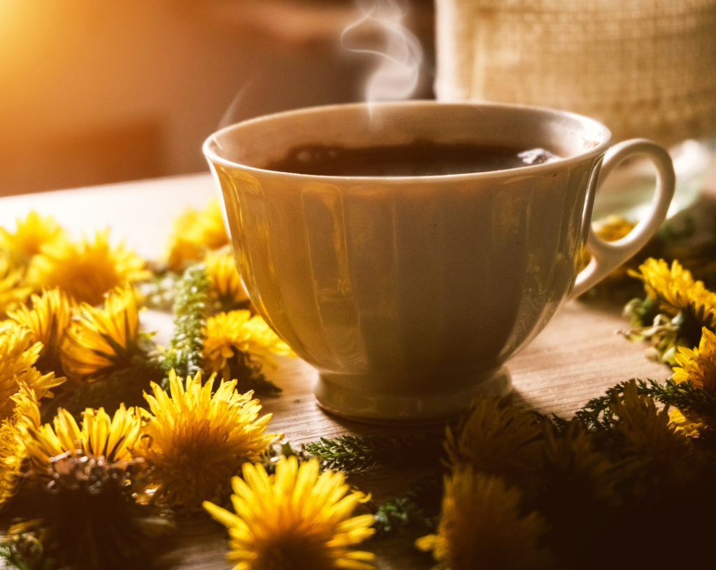 Dandelion coffee herbal brew