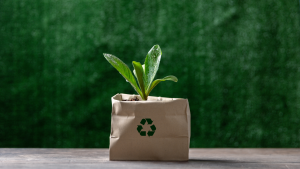 Crunchy But Make It Doable — Practical Eco-Living for Real Life