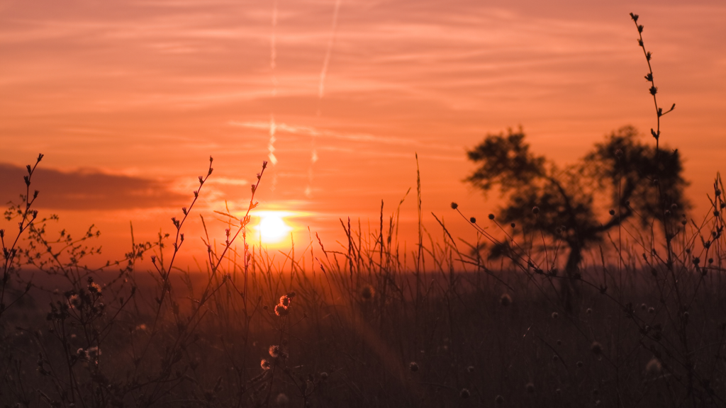 Fall Equinox 2025 rituals
