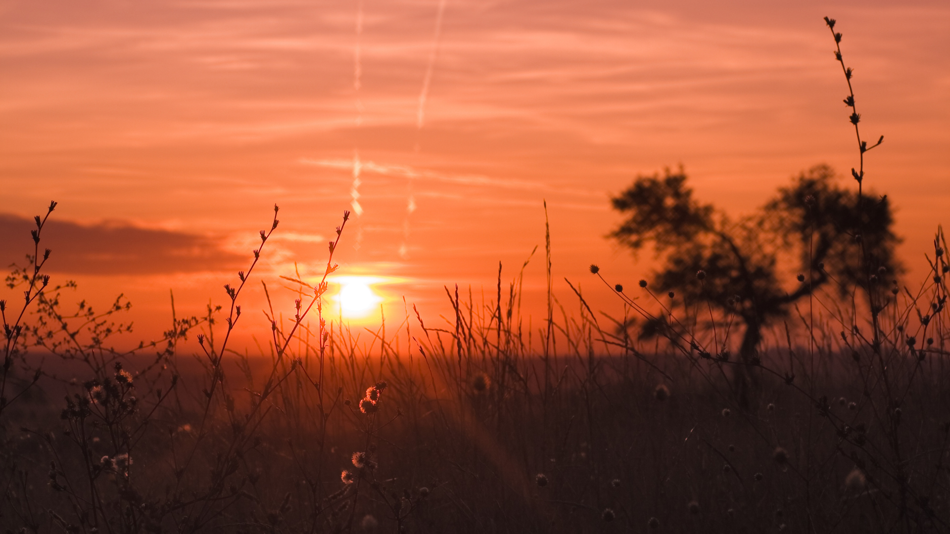 Fall Equinox 2025 rituals