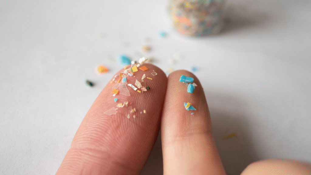 microplastics mitochondrial dysfunction