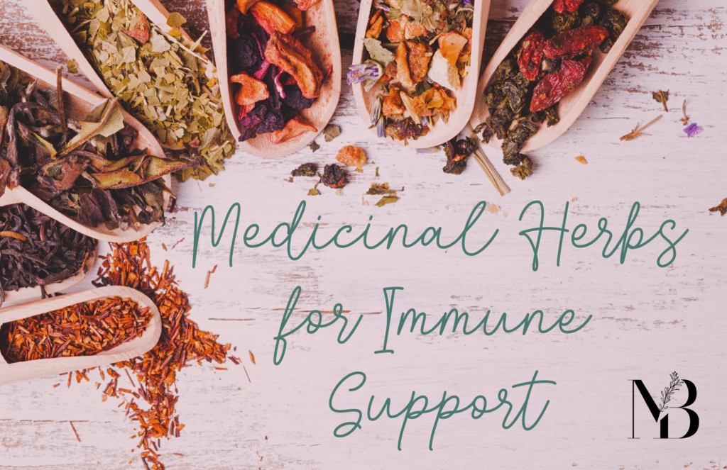 Medicinal Herbs for Immune Support