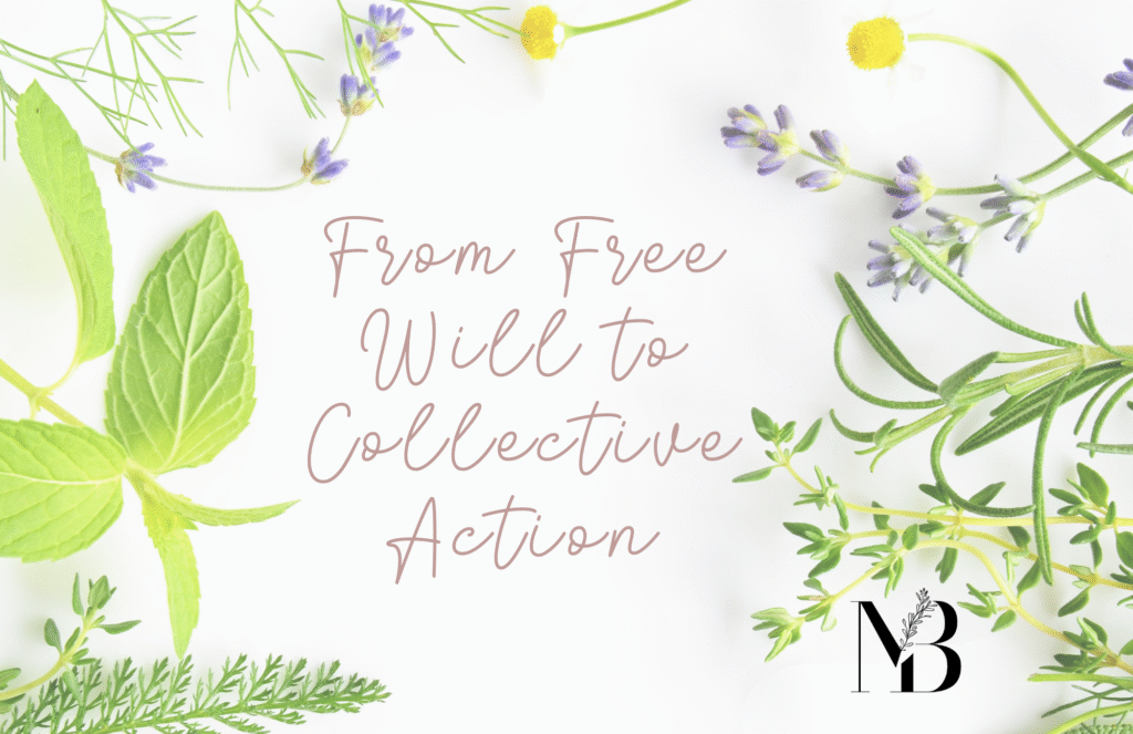 collective action sustainable living