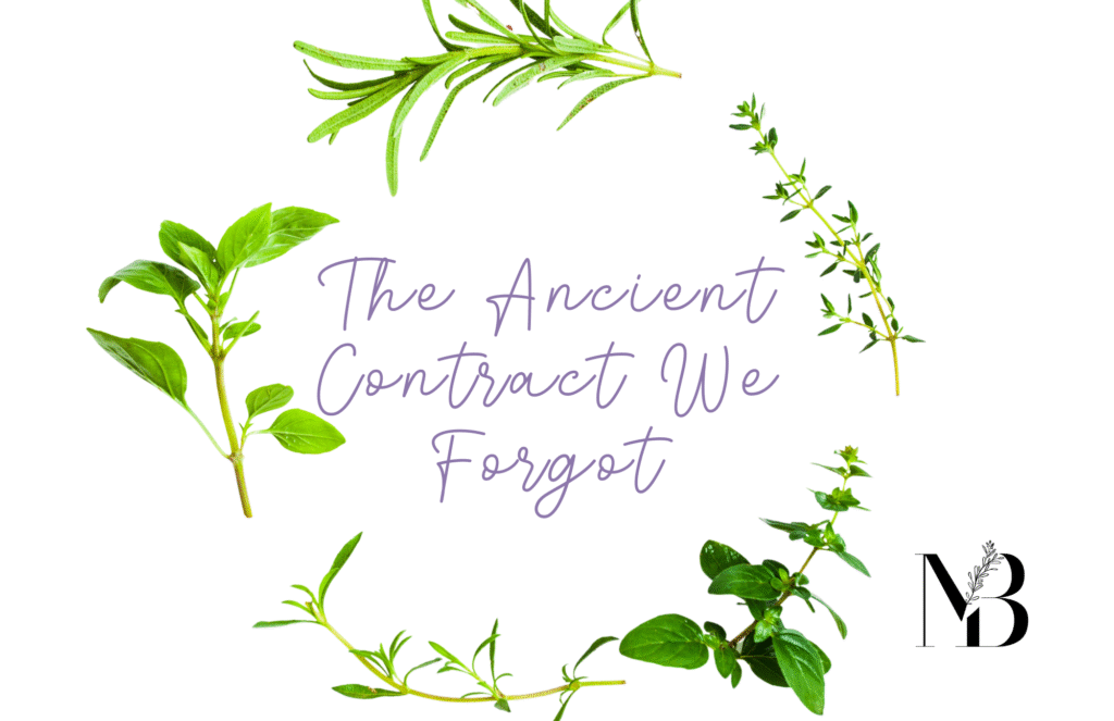 environmental stewardship ancient wisdom