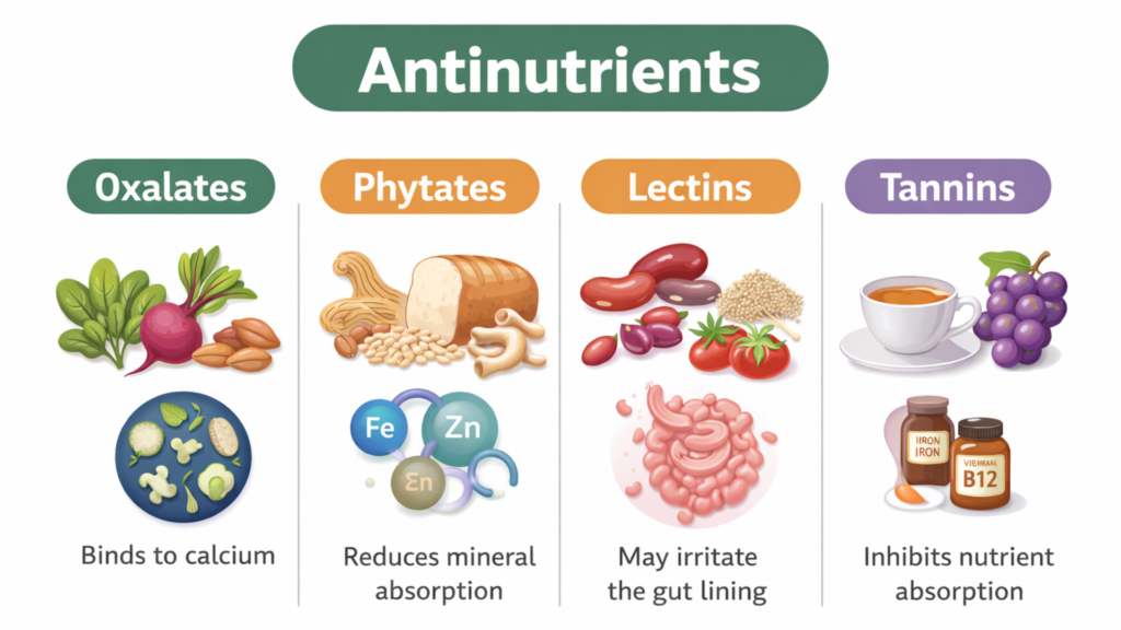 Antinutrients: The Hidden Compounds in "Healthy" Foods